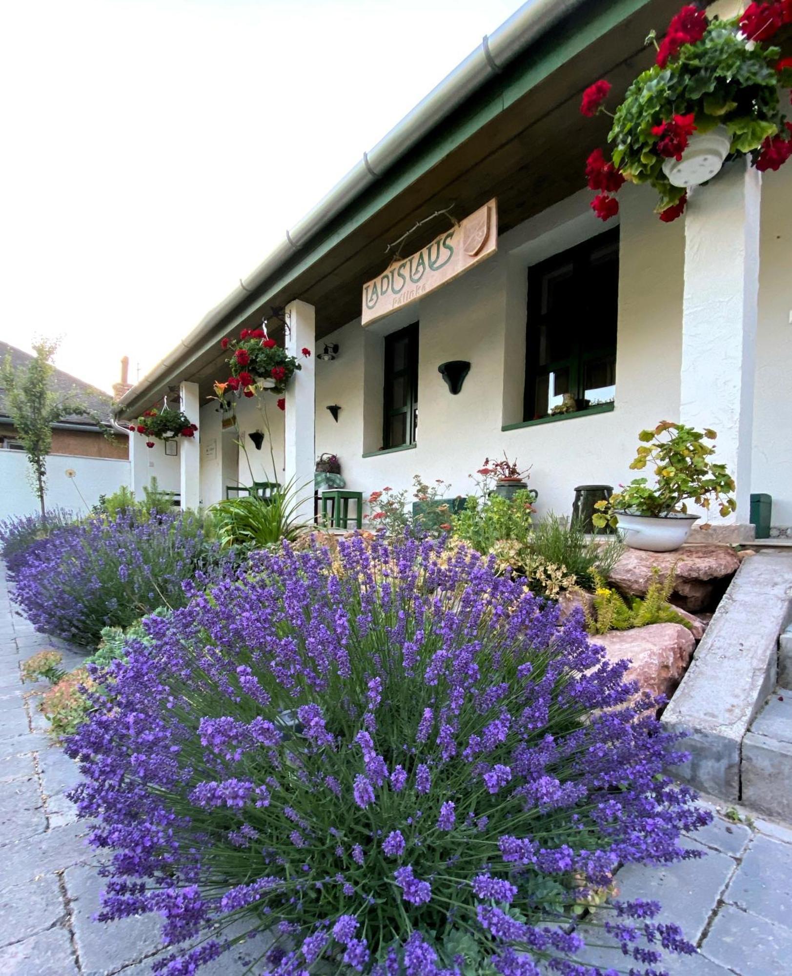Ladislaus Schnaps-Haus Falusi Vendeghaz Csolnok Buitenkant foto